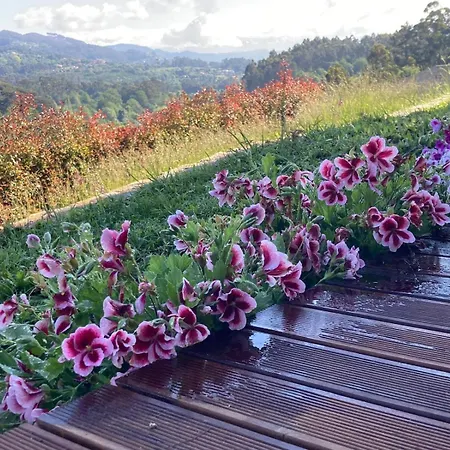 Hébergement de vacances Casa Pôr Do Sol Ponte de Lima